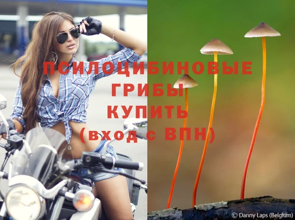 прущий лед Волосово